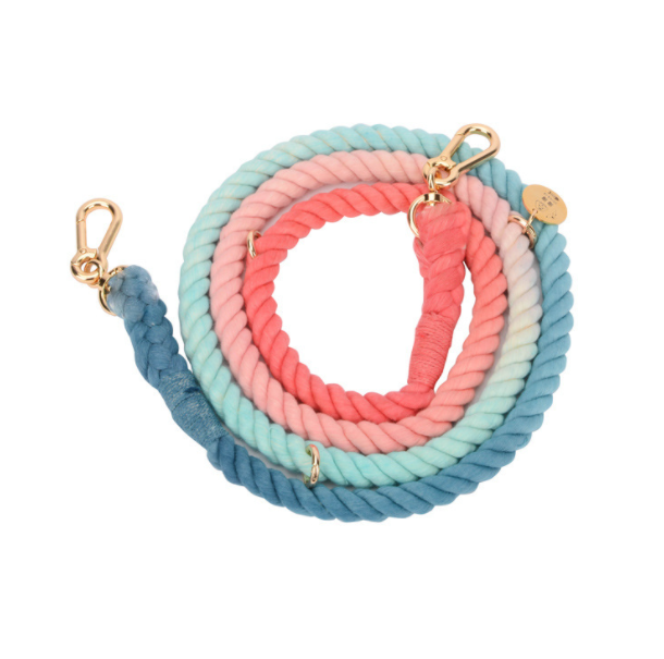 Multifunktionale Regenbogen-Hundeleine – Bild 1 | LuxeStyle
