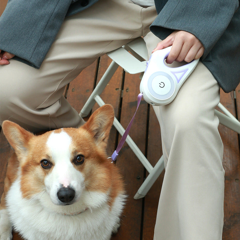 Retractierbare Leine mit Automatikbremse für kleine & mittlere Hunde