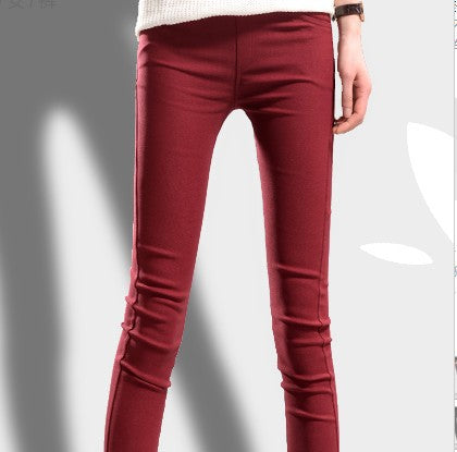 Bunte Stretch-Hosen