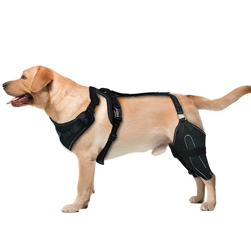 Beinwärmer für Hunde mit verstellbarer Metallstütze – Bild 5 | LuxeStyle