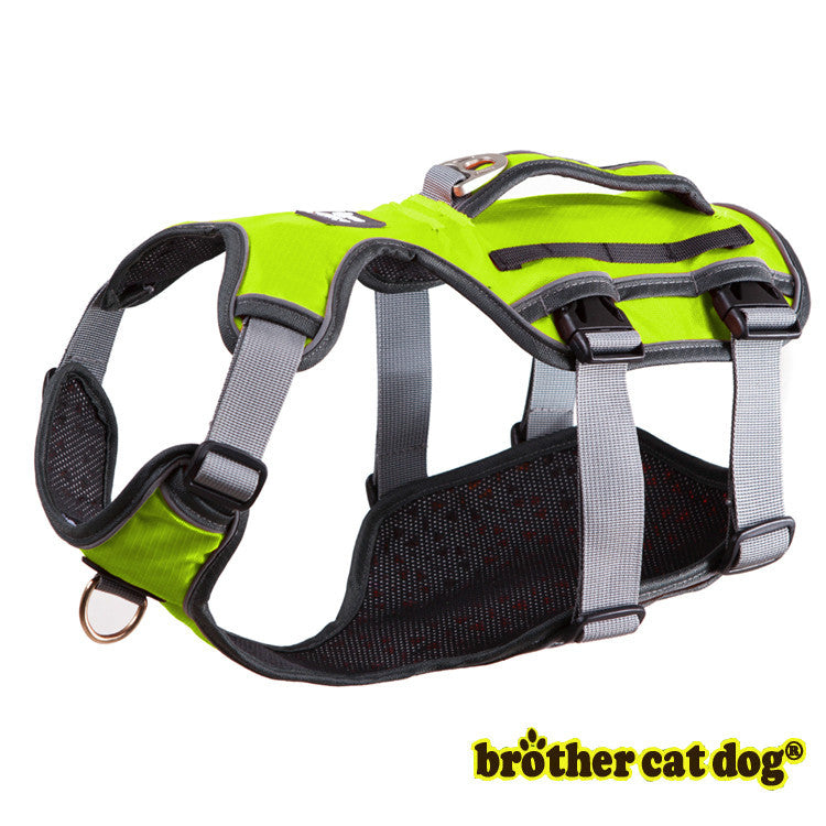 Hunde-Thorakolumbal-Band – Bild 3 | LuxeStyle