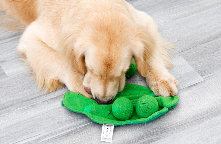 Schnüffelteppich für Hunde und Katzen