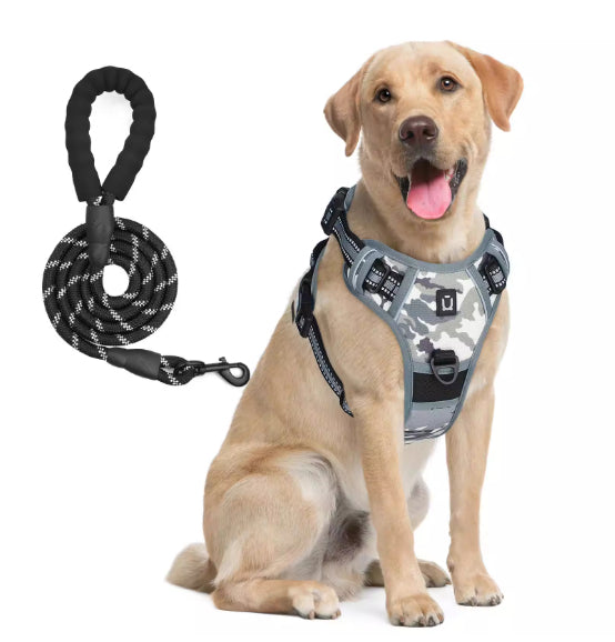 Hundegeschirr & Leine mit Ausbruchschutz – Bild 2 | LuxeStyle