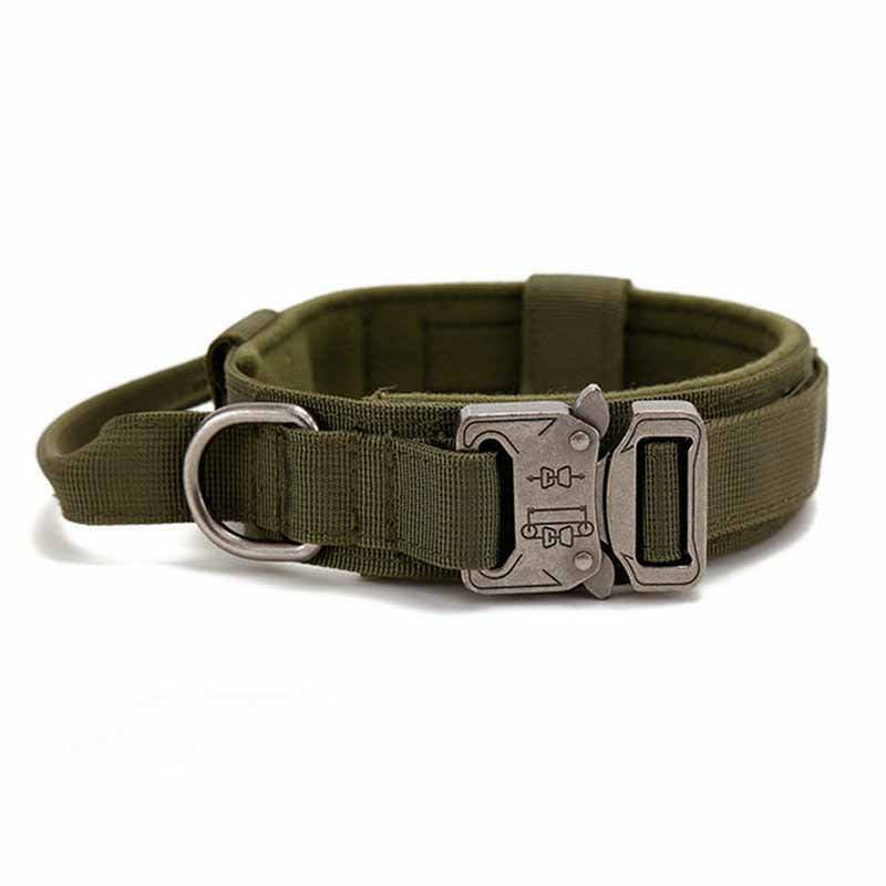 Hundekragen mit Stahlbügel – Bild 3 | LuxeStyle