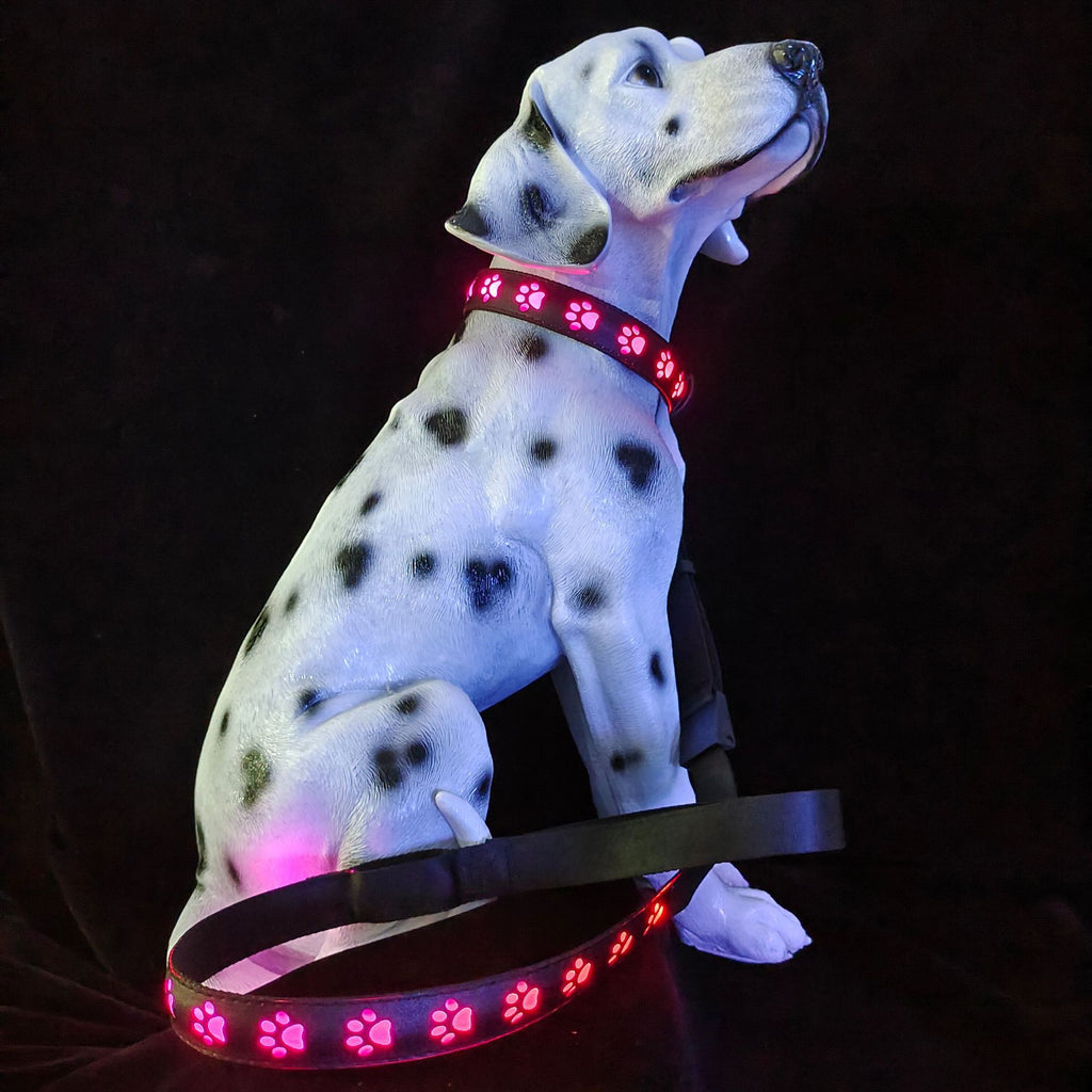 LED Leuchthalsband für Hunde, 7 Farben – Bild 1 | LuxeStyle
