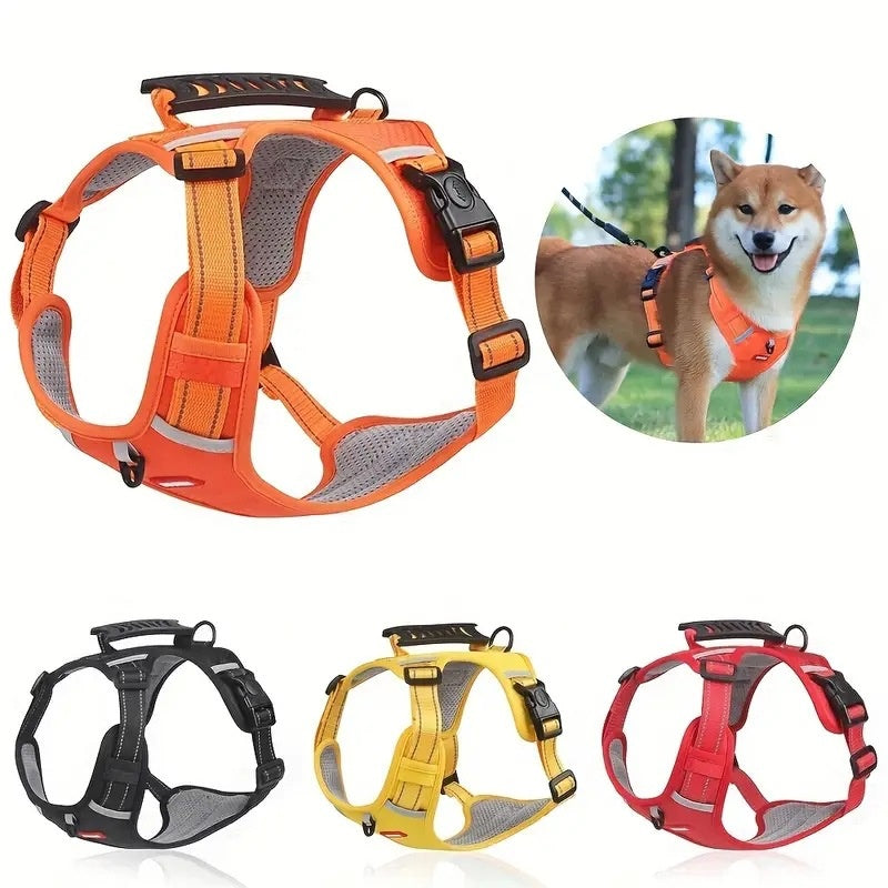 Hunde-Halsband mit Zugleinen