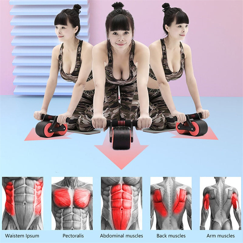 Bauchrad für Fitness