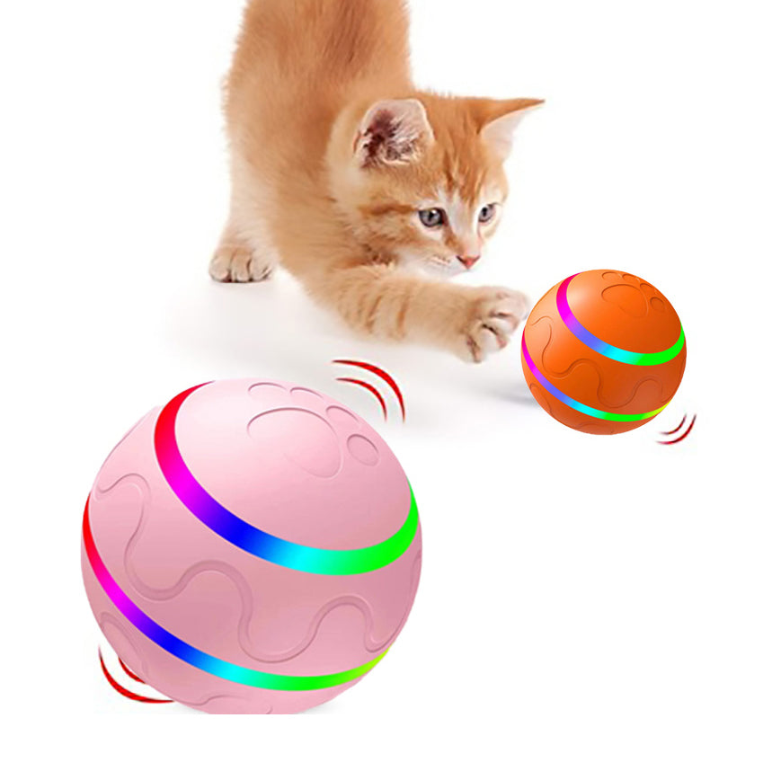 Intelligente Katzenkugel