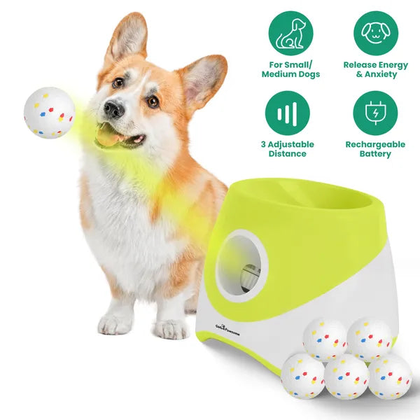 Automatischer Ballwerfer für Hunde