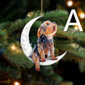 Weihnachtsbaum-Anhänger H – Bild 8 | LuxeStyle