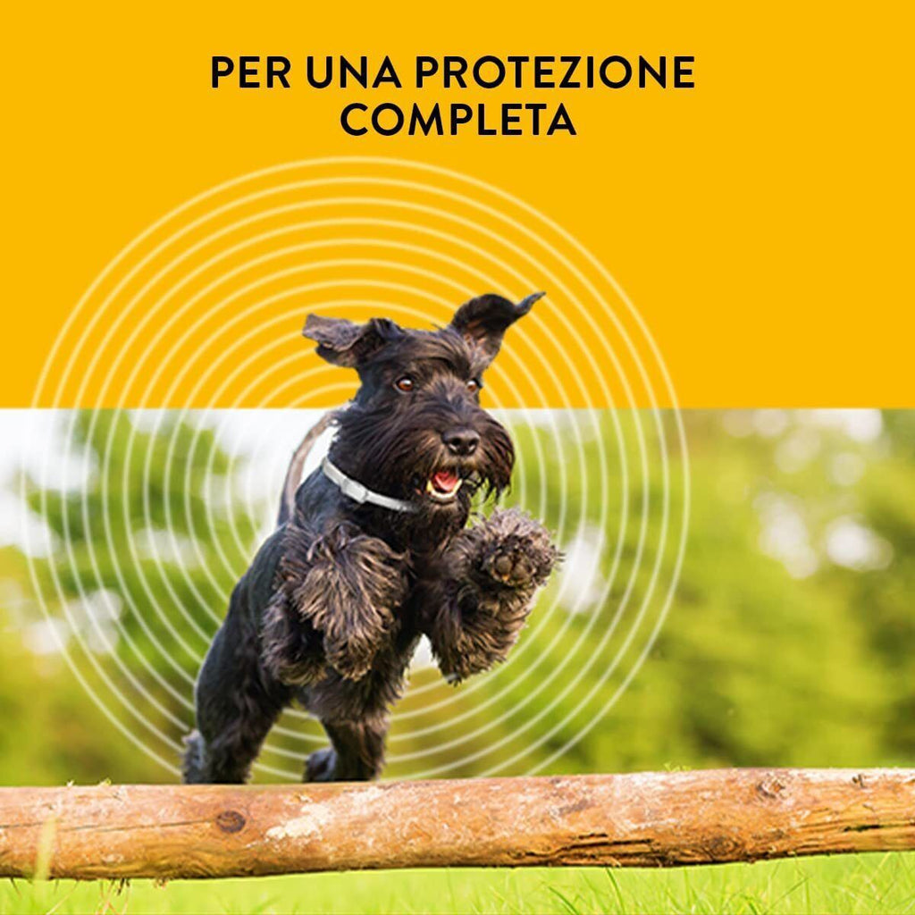 Halsband gegen Flöhe und Zecken für Hunde/Katzen – Bild 6 | LuxeStyle