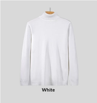 Herren Rollkragenpullover