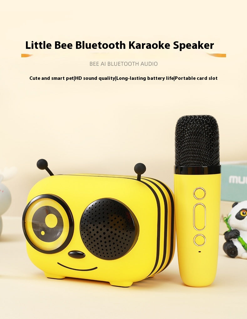 Karaoke Mikrofon & Bluetooth Speaker