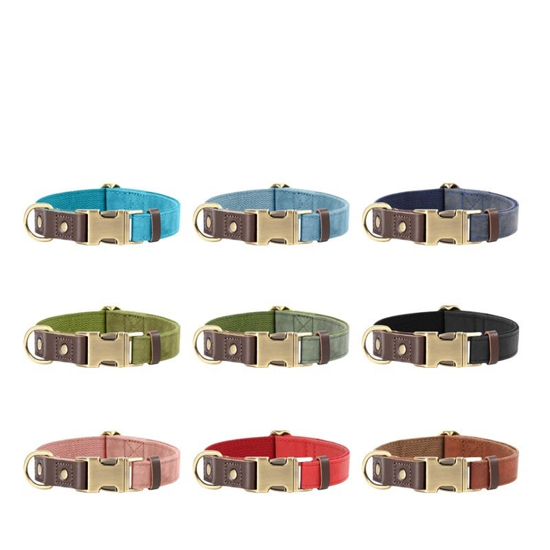 Halsband für mittelgrosse Hunde