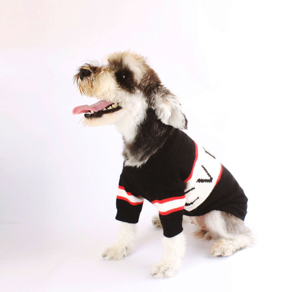 Schwarzer Wollpullover für Haustiere – Bild 3 | LuxeStyle