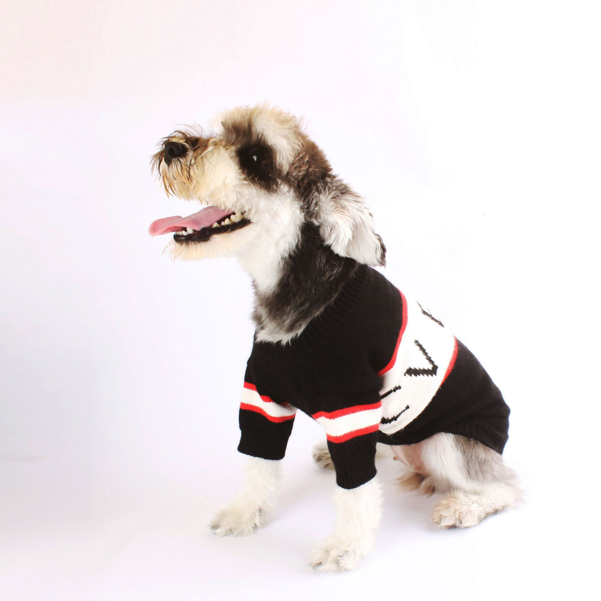 Schwarzer Wollpullover für Haustiere – Bild 3 | LuxeStyle