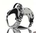 Taktisches Hundehalsband