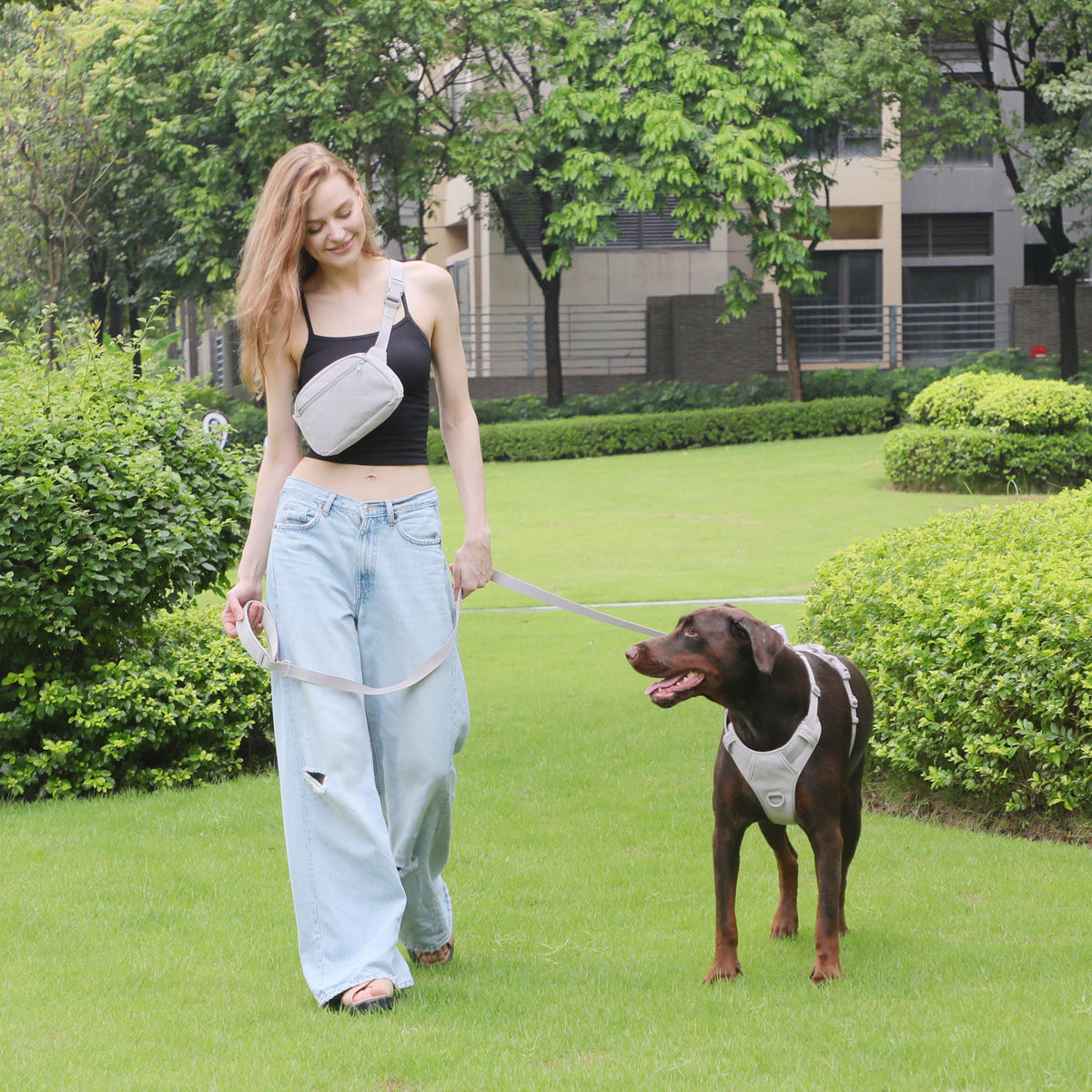Halsband, Geschirr & Leine im Set – Bild 19 | LuxeStyle
