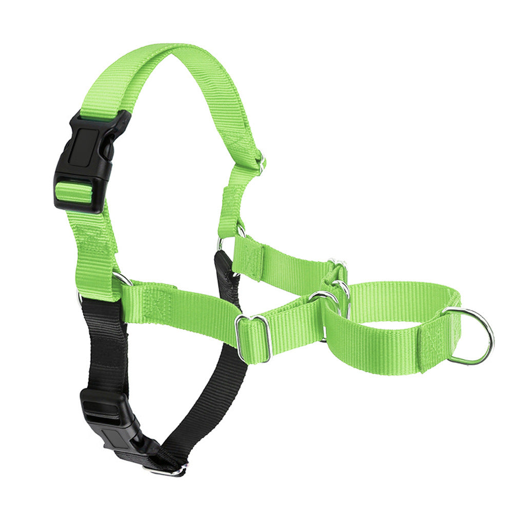 Hundehalsband für Spaziergänge – Bild 6 | LuxeStyle