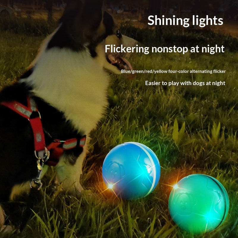 Ferngesteuerter Hüpfball für Hunde