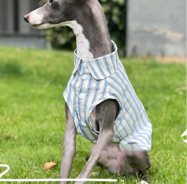 Baumwoll-Shirt für Hunde – Bild 2 | LuxeStyle