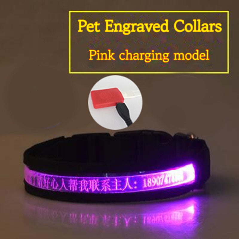 Leucht-Hundehalsband – Bild 4 | LuxeStyle