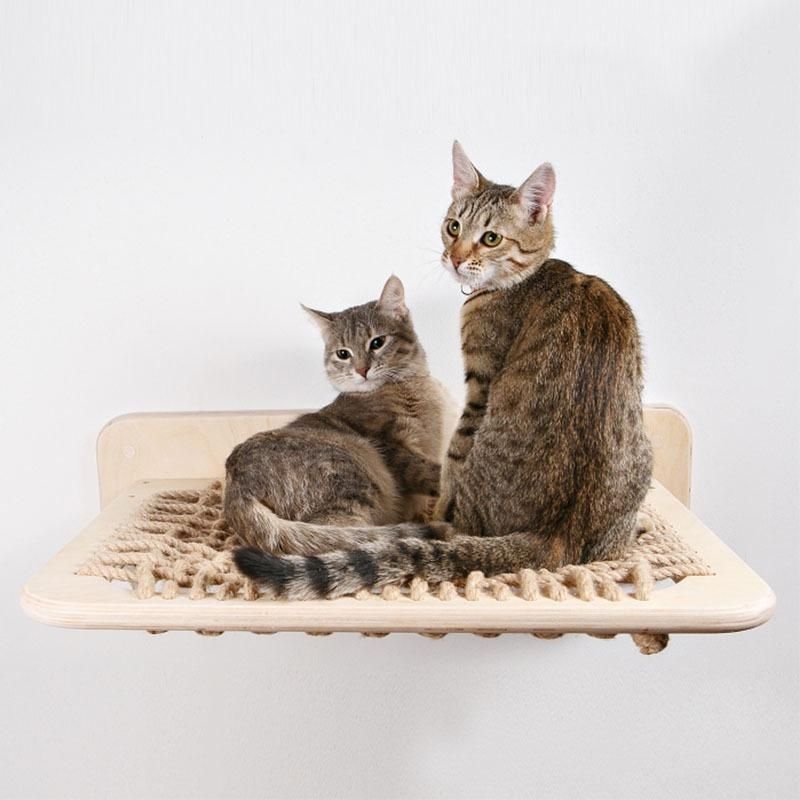 Xilan Kiefer Katzen-Hängebrücke mit Kletternest