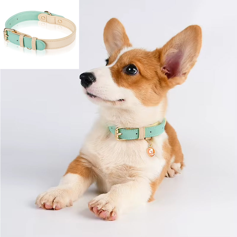 Lederhalsband für Hunde