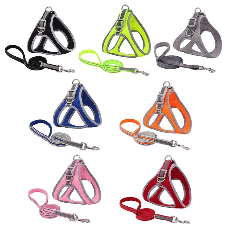 Nylon-Rucksack für Haustiere – Bild 2 | LuxeStyle