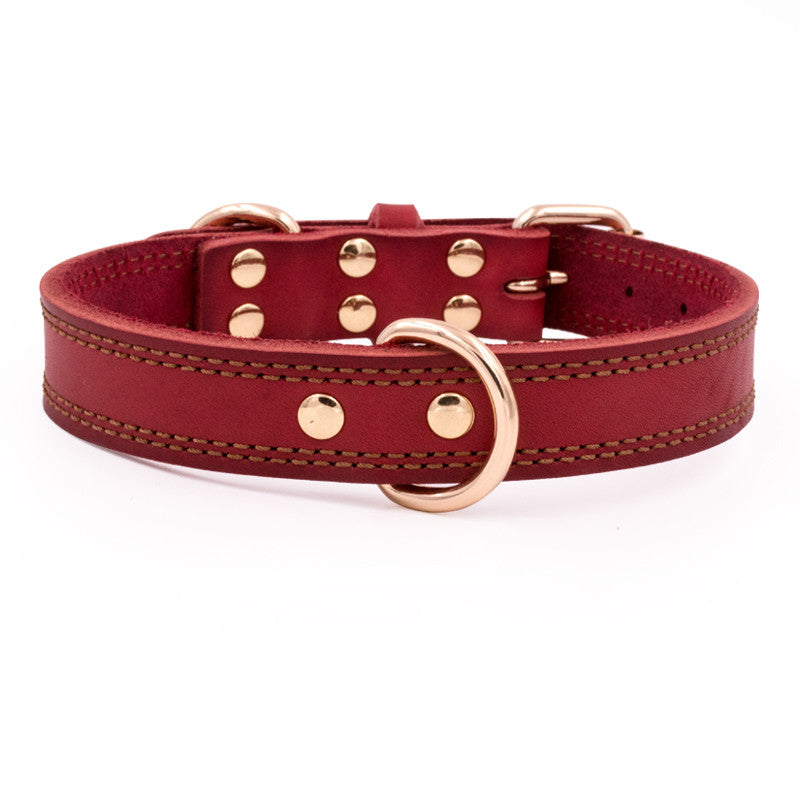 Lederverstärkter Hundehalsband – Bild 1 | LuxeStyle