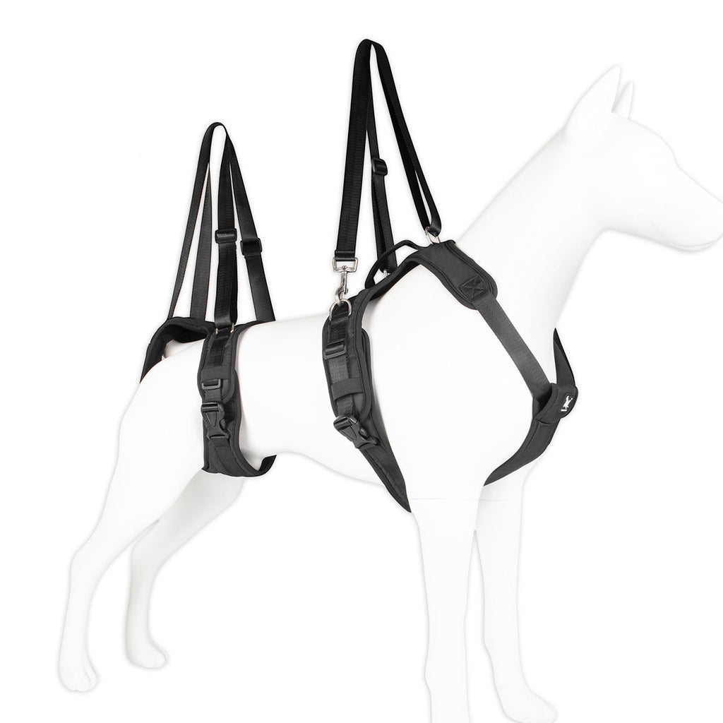 Brustgurt für gehandicapte Hunde – Bild 3 | LuxeStyle