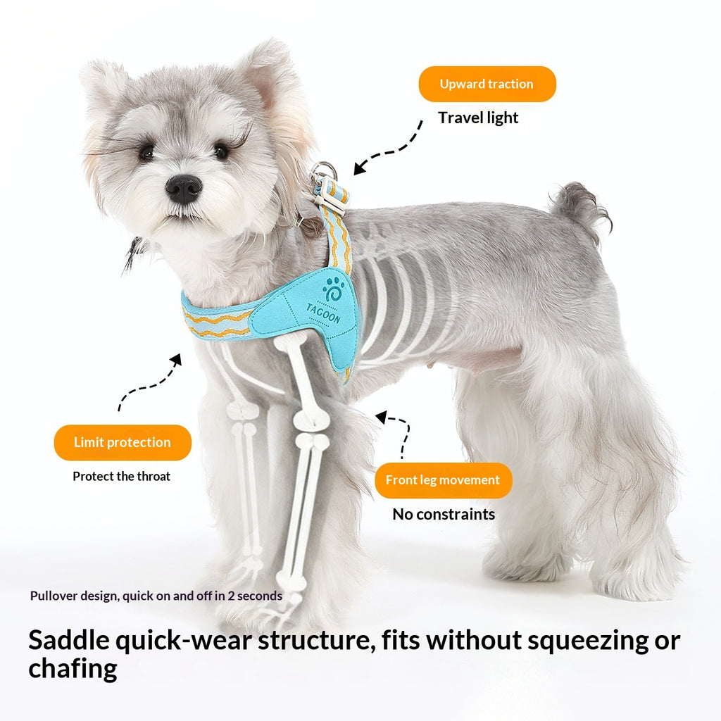 Tragbarer Y-förmiger Hunde-Harness für Spaziergang