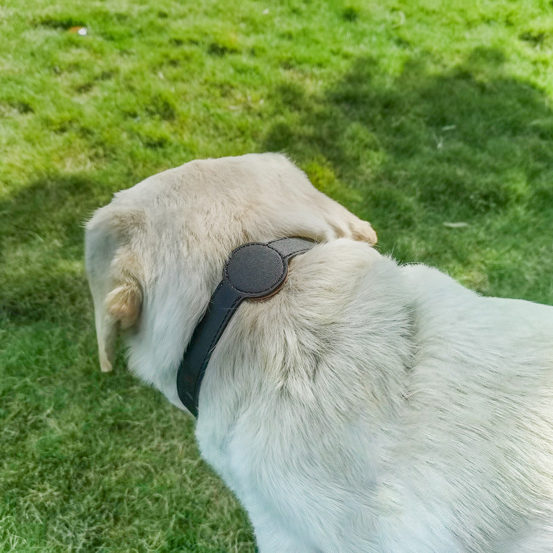Halsband für Hunde und Katzen aus Mikrofaser – Bild 1 | LuxeStyle