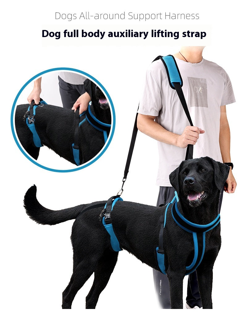 Hunde-Gehhilfe für Vorder- oder Hinterbeine