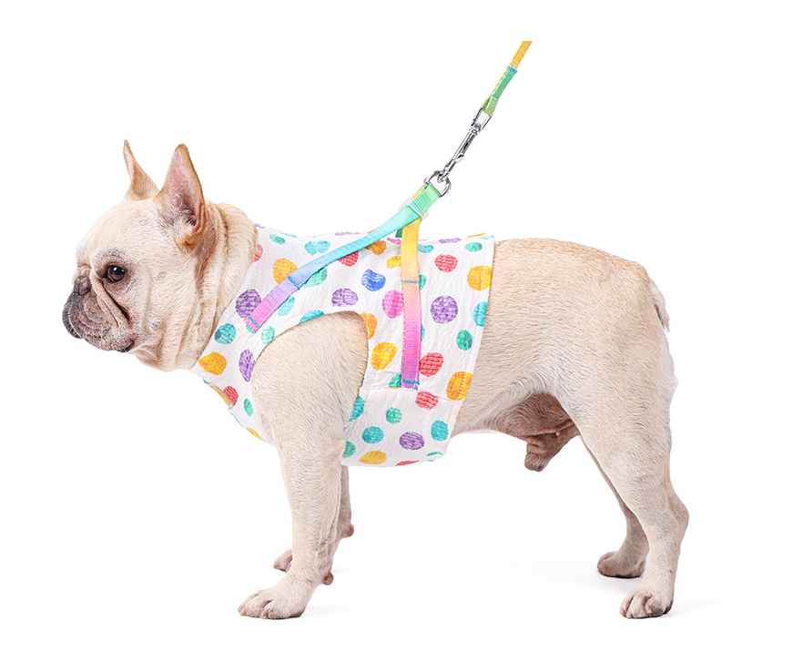 Brustgeschirr für kleine bis mittelgrosse Hunde – Bild 3 | LuxeStyle