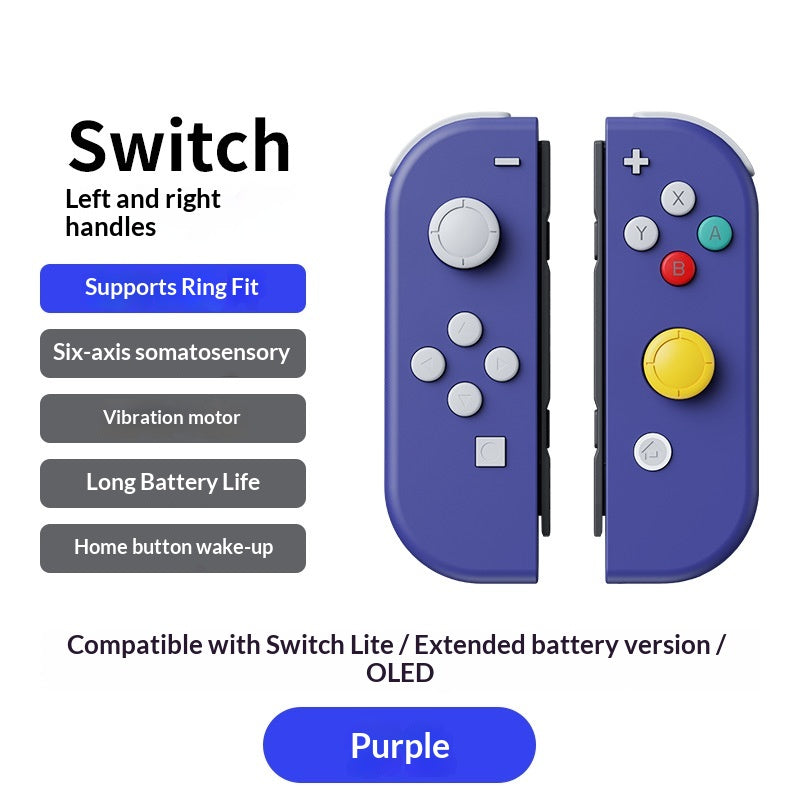 NS Dual Gamepad mit Handschlaufe