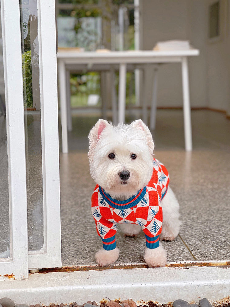 Weisses Wollpullover für Hunde und Katzen – Bild 14 | LuxeStyle