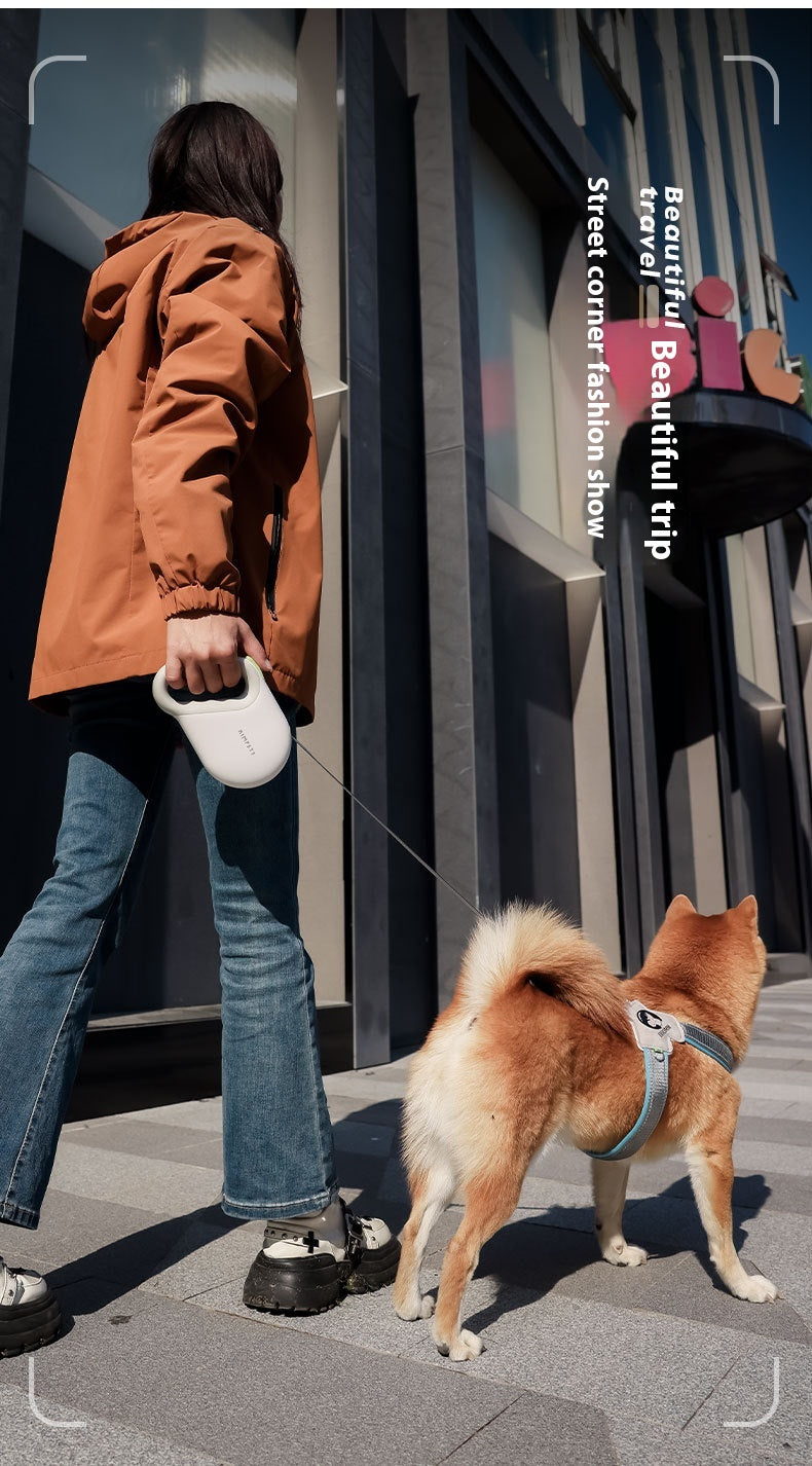 Sicherheitsleine für Hunde – Bild 2 | LuxeStyle