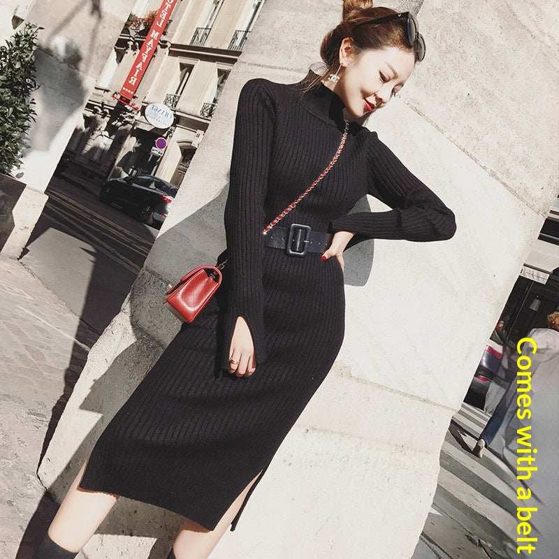 Rollkragen Strickkleid mit Schlitz