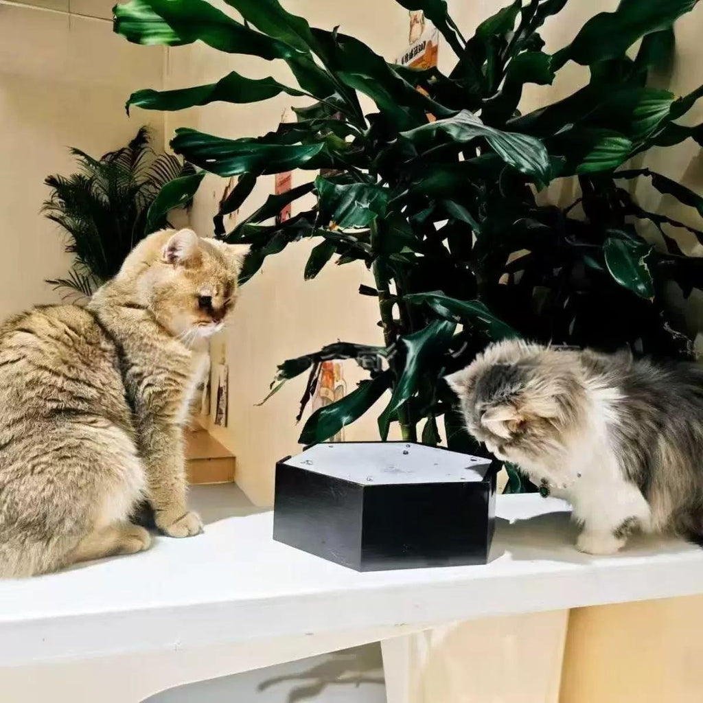 Katzenspielzeug