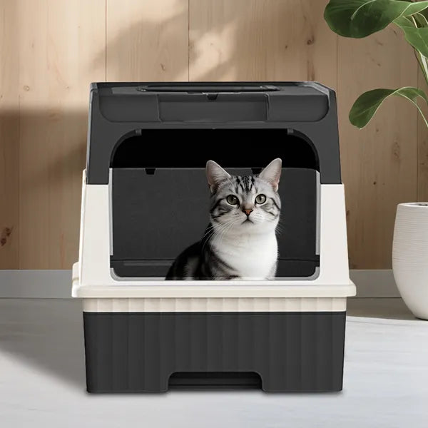 Würfel-Katzentoilette mit zwei Eingängen