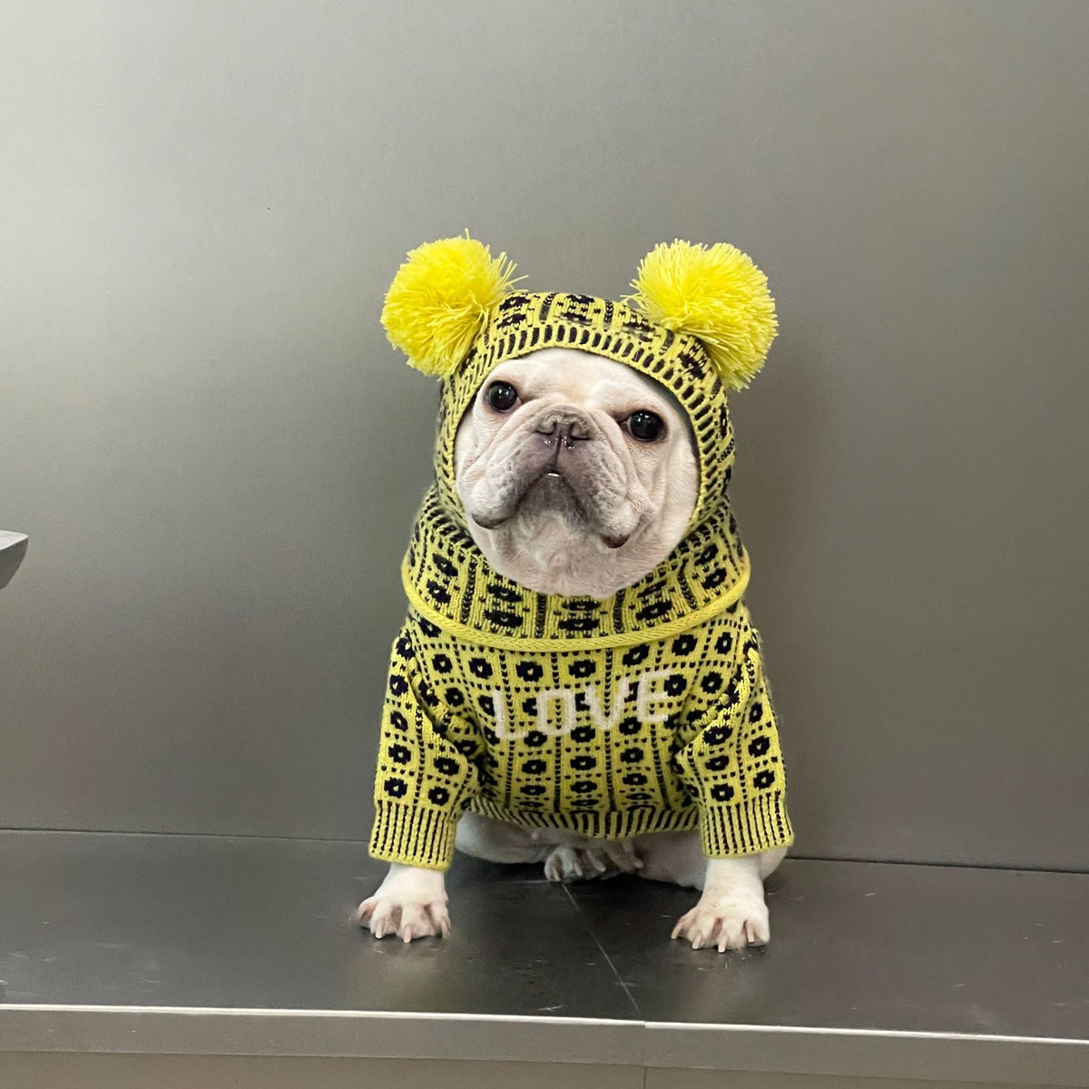 Winterpullover für Hund & Katze – Bild 15 | LuxeStyle