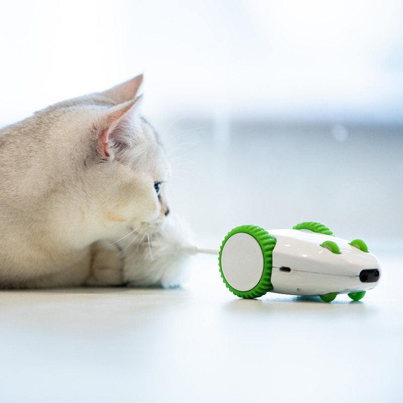 Maus-Spielzeug mit Sound und Licht für Katzen – Bild 4 | LuxeStyle