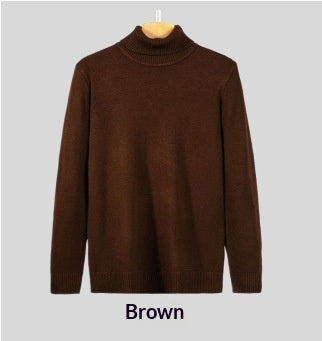 Herren Rollkragenpullover