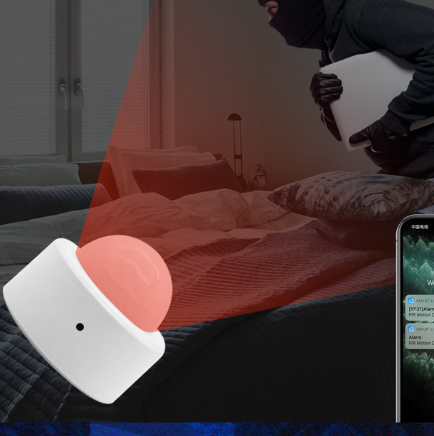 Intelligenter Infrarot-Bewegungssensor | LuxeStyle