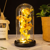 Farbe: Schwarz Hintergrund Gold, Glasabdeckung