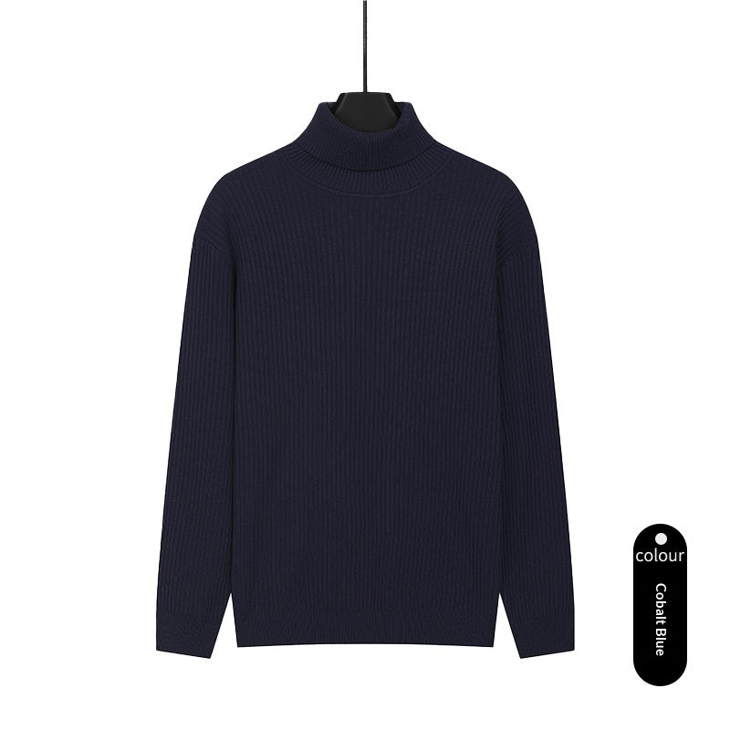 Herren Rollkragenpullover aus Strick