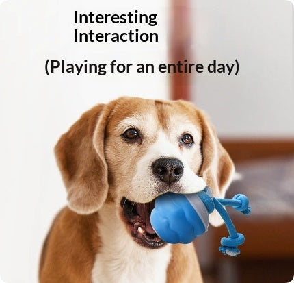 Interaktiver Spielball für Hunde, wiederaufladbar