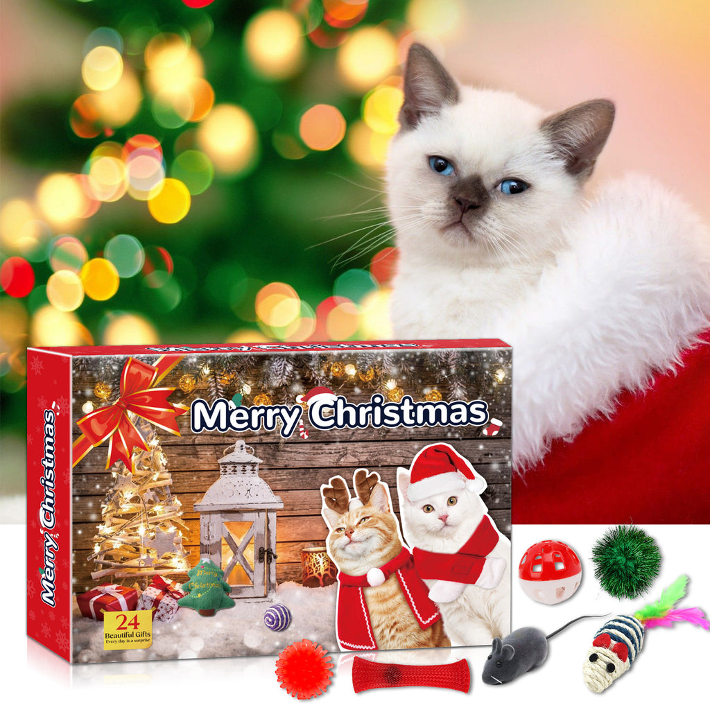 Weihnachts-Countdown Katzen Spielzeug