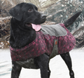 Winterjacke für Hunde
